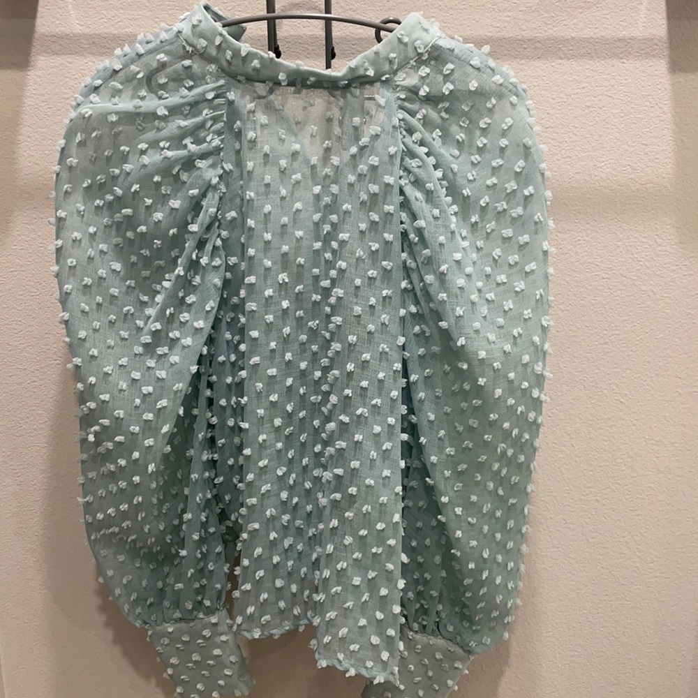 Zara puff sleeve blouse